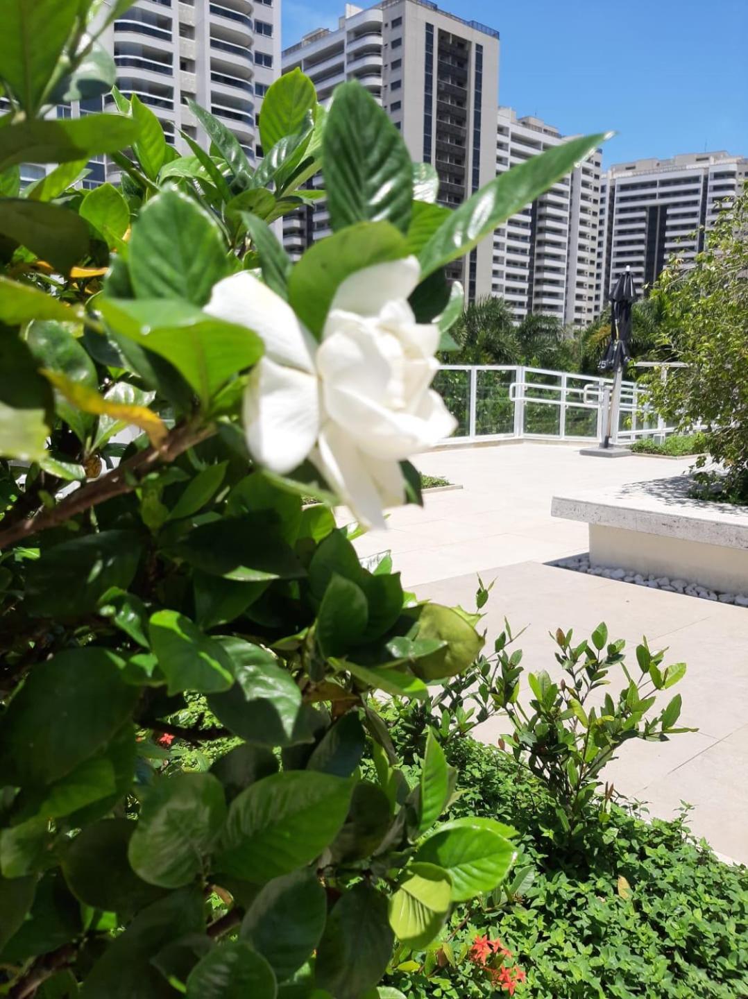 Apartamento Flat Ilha Pura Barra Da Tijuca